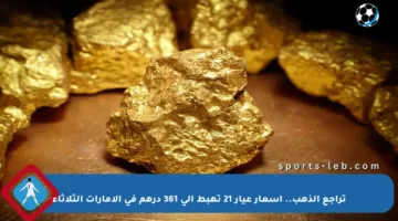 تراجع الذهب.. أسعار عيار 21 تهبط إلى 361 درهم في الإمارات الثلاثاء